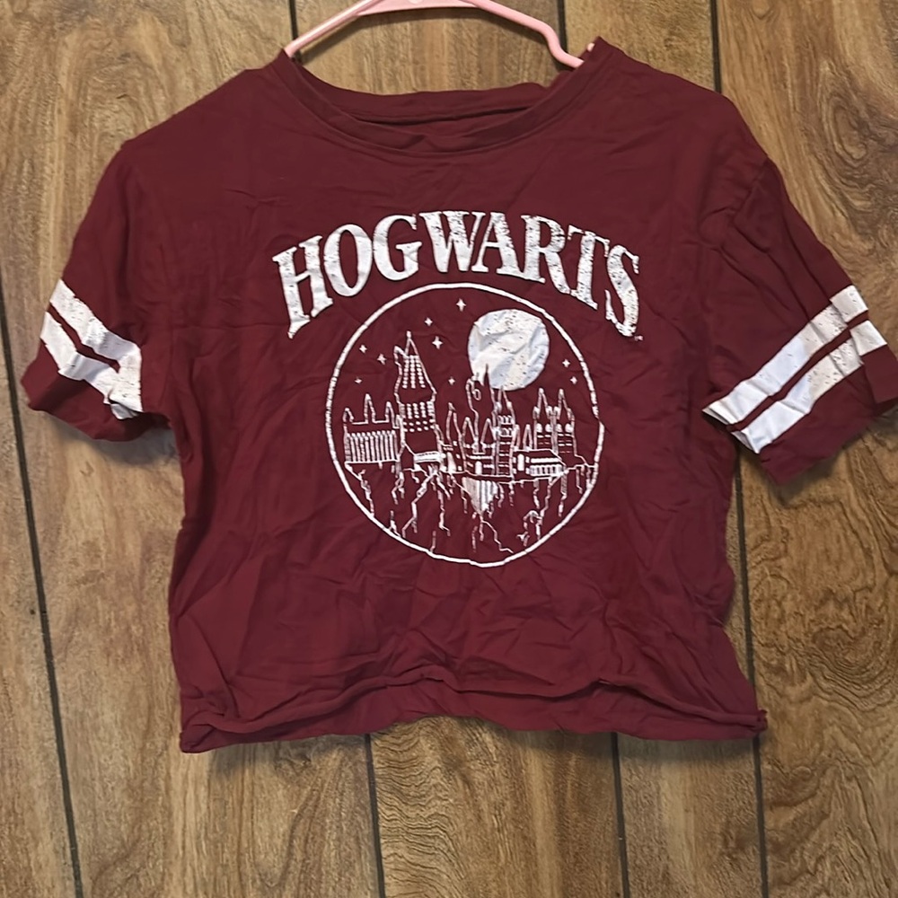 Hogwarts Harry Potter Crop Top